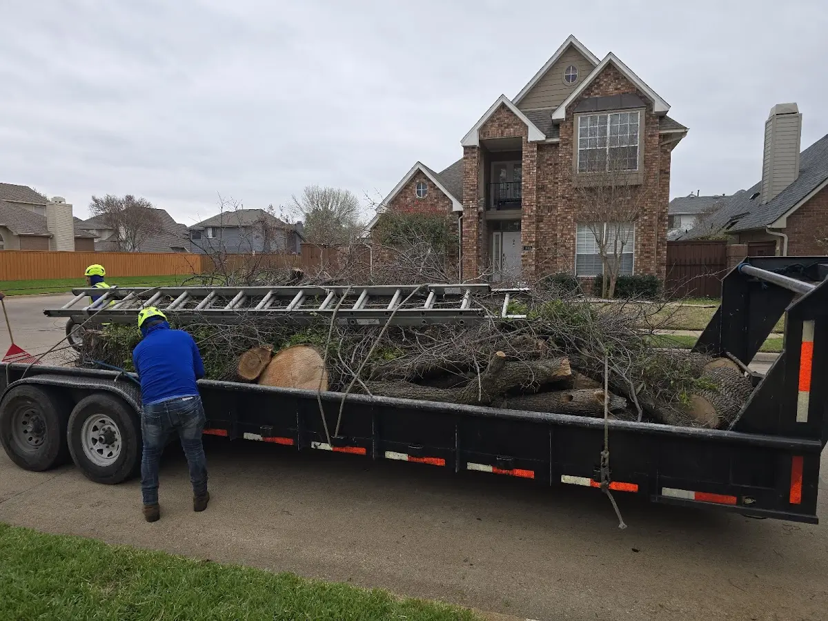 Expert Tree Fertilization with proper safety equipment in Selden